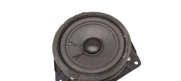 Lexus GS 300 350 430 450H Front door speaker 861600WB10 00906F0011 8033AA