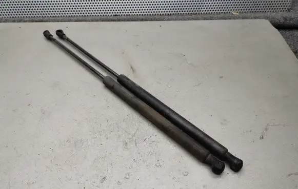 Tailgate/trunk strut/damper