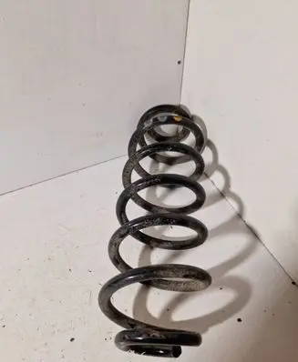Rear coil spring