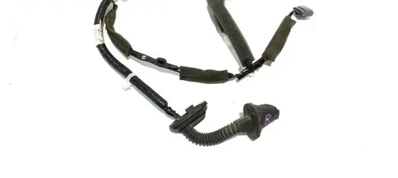 Nissan Leaf II (ZE1) Rear door wiring loom 241265SH0A 25911