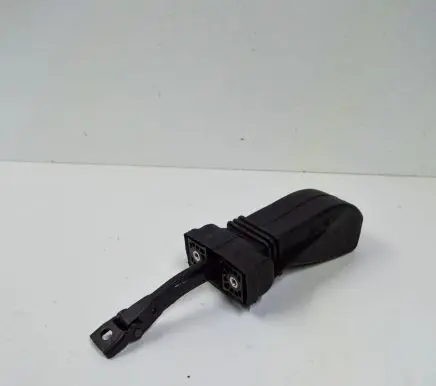 Porsche Cayenne (92A) Front door check strap stopper 7P0839249