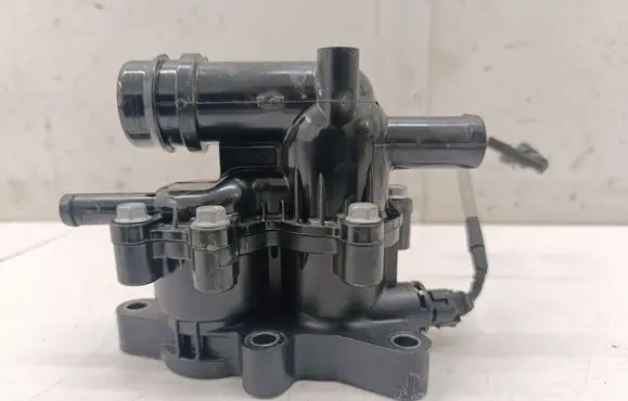 Thermostat/thermostat housing