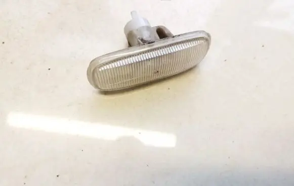 Front fender indicator light