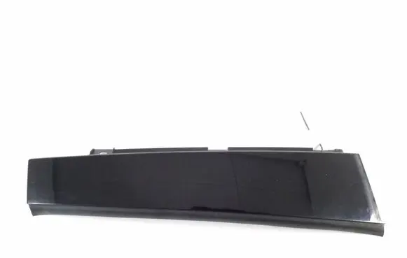 Other rear door trim element