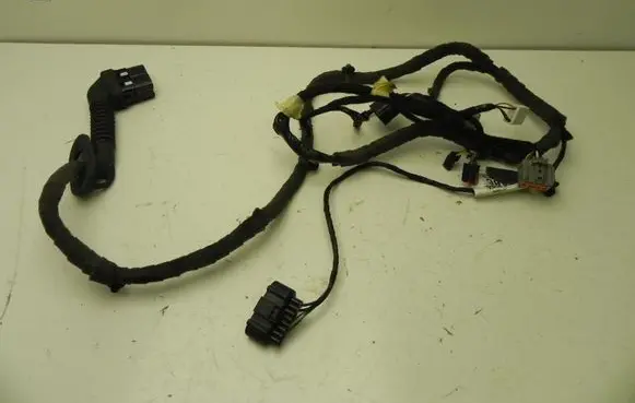 Ford Focus Other wiring loom DM5T14A584 I6654