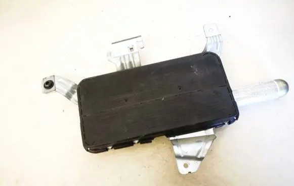 Front door airbag