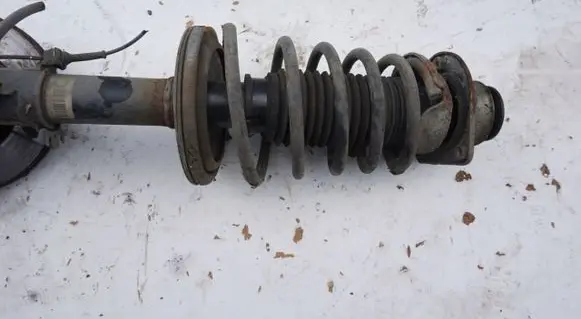 Fiat Doblo Rear shock absorber with coil spring 