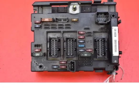 Peugeot 307 CC Fuse box set 9650664080