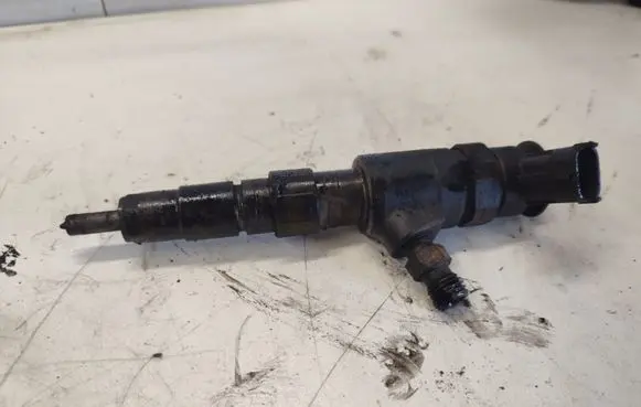 Citroen C3 Fuel injector