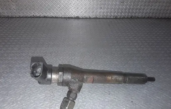 Nissan Qashqai Fuel injector 8200380253