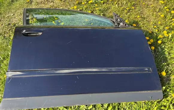 Audi A4 S4 B6 8E 8H Front door LZ5K