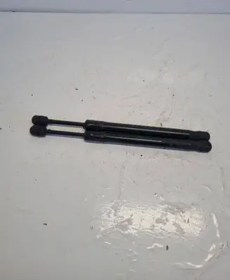 Tailgate/trunk strut/damper