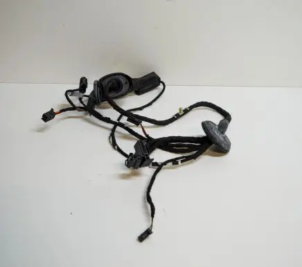 Audi A4 S4 B8 8K Front door wiring loom 8K0971030AE