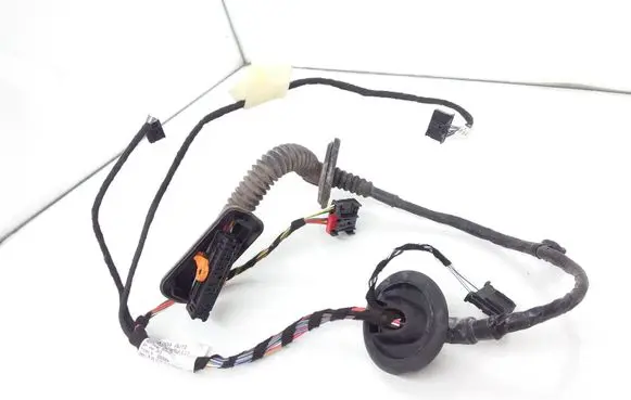 Rear door wiring loom