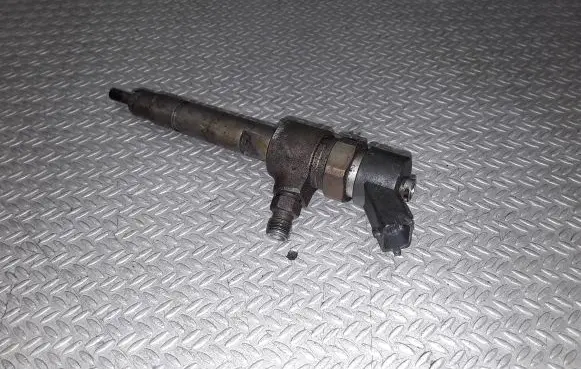Fiat Punto (188) Fuel injector 0445110019