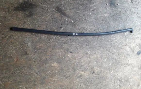 Renault Scenic III - Grand scenic III Rear door glass trim molding