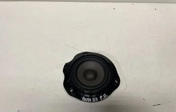 Panel speaker