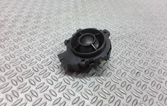 Front door high frequency speaker