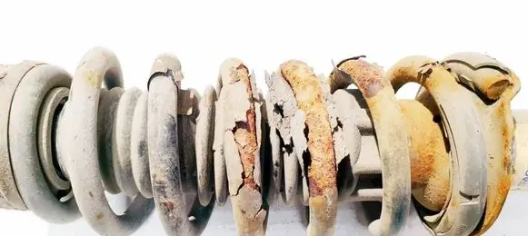 Rear coil spring
