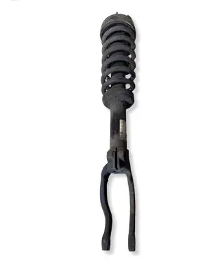 BMW X5 E70 Front shock absorber/damper 6781920 22244959 14941510