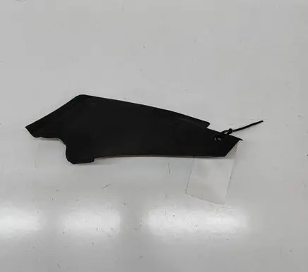 Mercedes-Benz AMG GT R190 C190 Other body part A1908314000