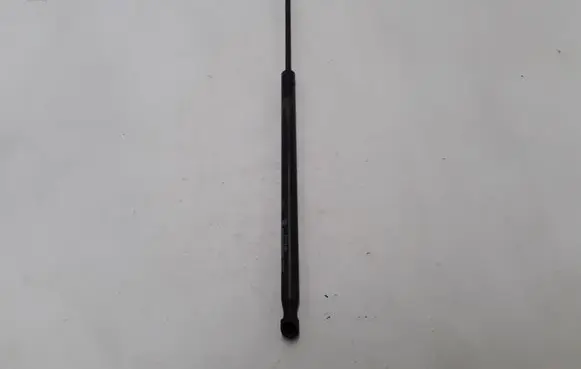 Renault Scenic I Tailgate strut 