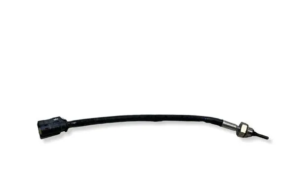 BMW X3 G01 Exhaust gas temperature sensor 8576316 020728090741
