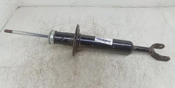 Volkswagen PASSAT B5.5 Front shock absorber/damper 373436EGT