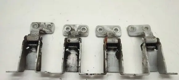 Renault Kangoo II Rear door hinge set 117113602