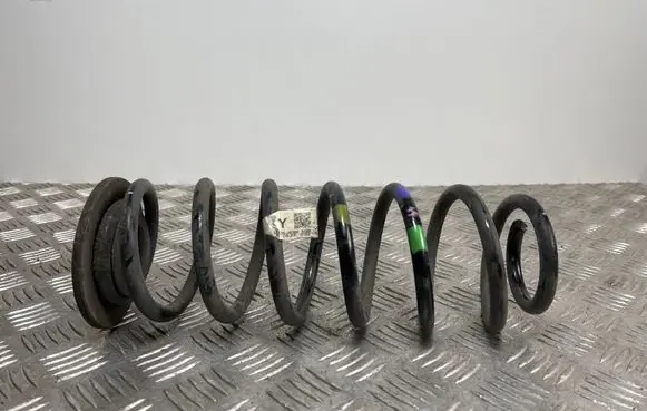 Hyundai Kona I Rear coil spring