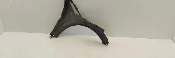 Mini Cooper Countryman R60 Fender