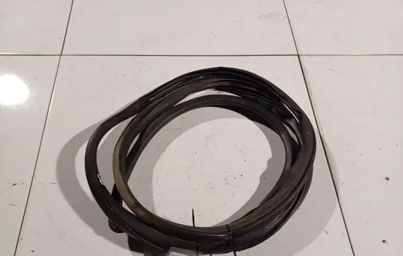 Honda Civic Rubber seal front coupe door 