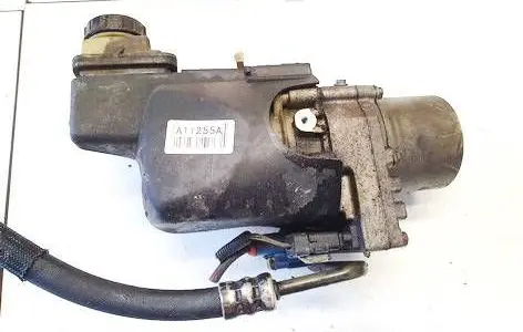 Renault Laguna III Power steering pump 491100033R
