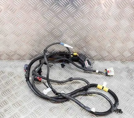 Tesla Model Y Other wiring loom 248905901A