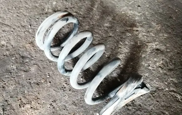 Mitsubishi Grandis Rear coil spring