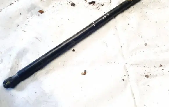 Ford C-MAX II Tailgate/trunk strut/damper