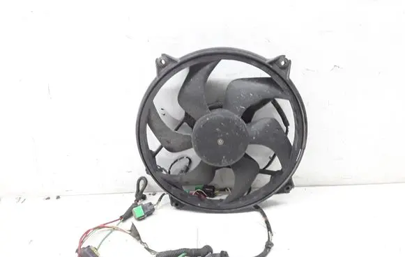Peugeot 607 Electric radiator cooling fan 1830884016