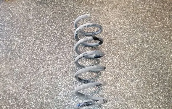 Dacia Sandero Rear coil spring