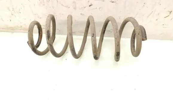 Rear coil spring