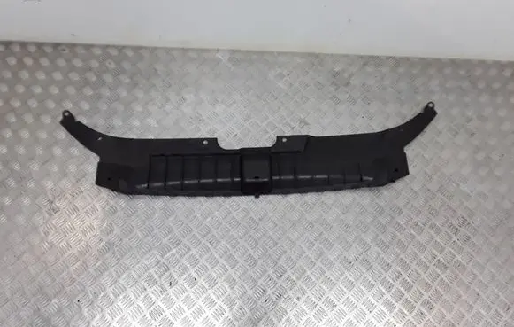 Audi Q5 SQ5 Radiator trim 8R0807081