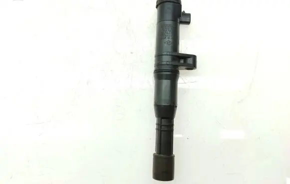Renault Scenic I Ignition plug leads 7700875000 0297008291