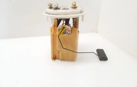 Citroen C6 In-tank fuel pump