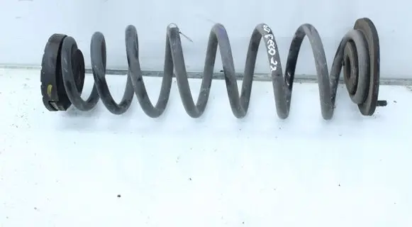 Rear coil spring