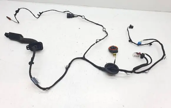 Audi A5 Front door wiring loom 8W8971029A