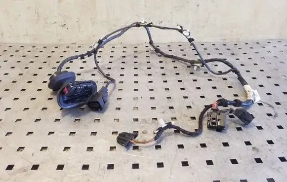 Seat Exeo (3R) Rear door wiring loom 3R0971687