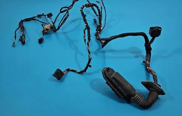 BMW X6 E71 Front door wiring loom 9242070 IMPRK1536724