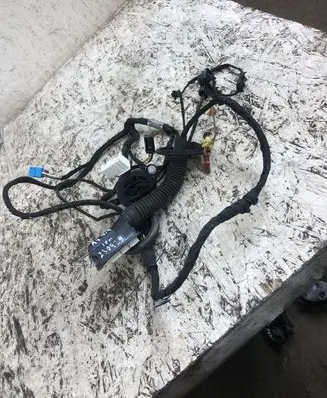 Audi A4 S4 B9 Front door wiring loom 4L0971841