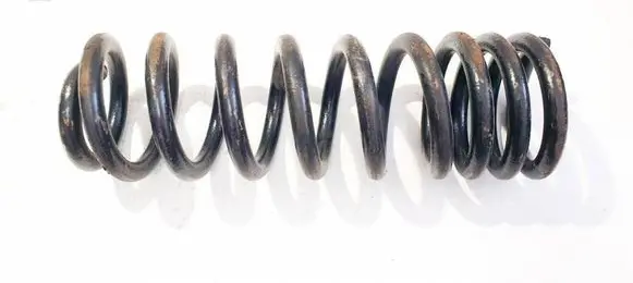 Rear coil spring