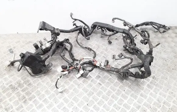 Engine installation wiring loom