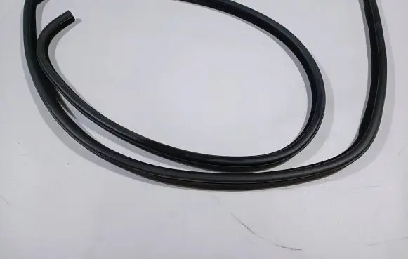 Dodge Charger Front door rubber seal